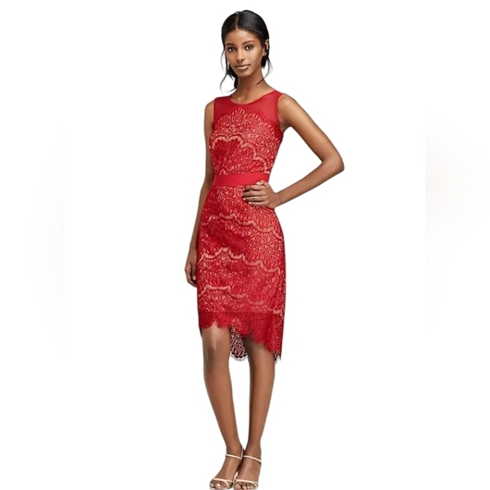 Jax Red Nude Short Sleeve Illusion Eyelash Lace Fitted Sheath Dress Size 2